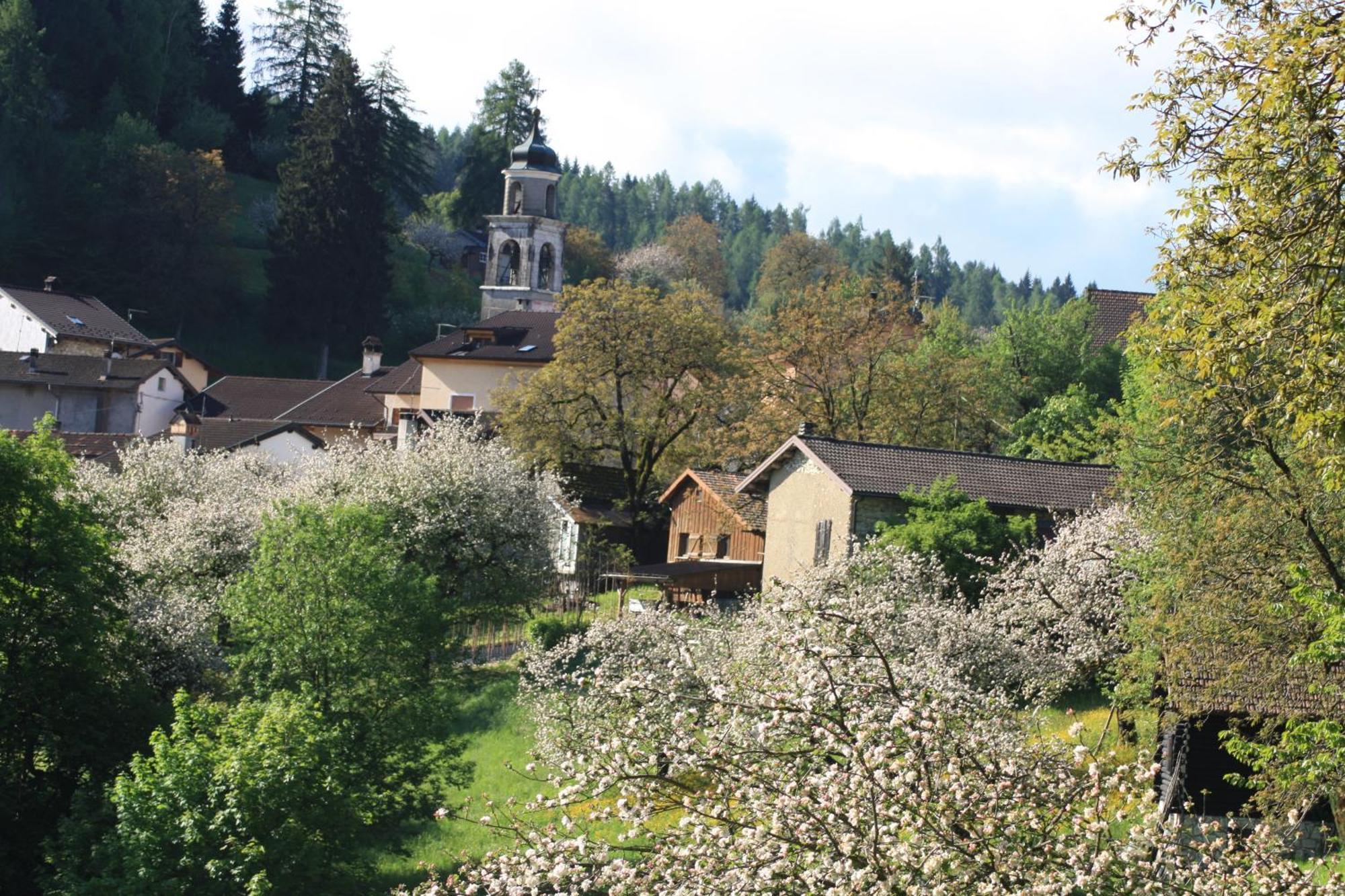 Albergo Diffuso Faller Chambre photo